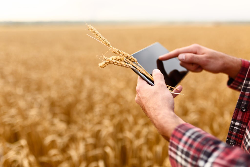 Вебинар «Сельское хозяйство и агропром: меры поддержки МСП, специализированные онлайн-площадки и перспективные направления развития»