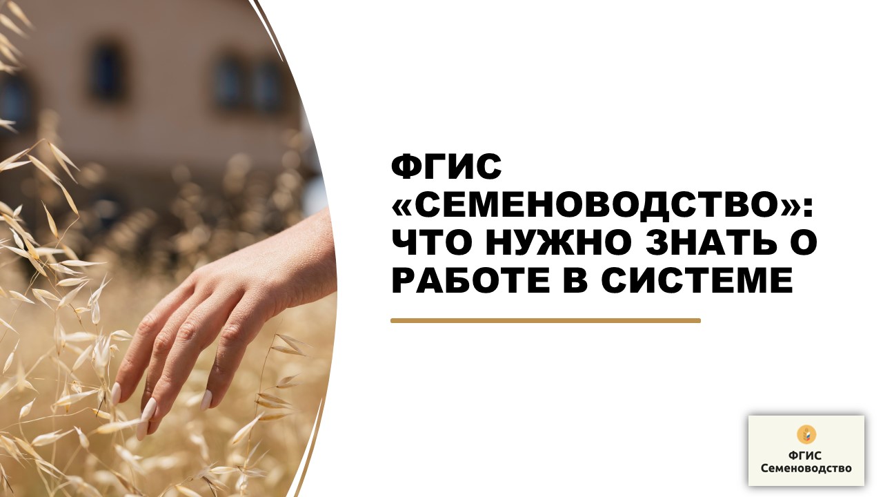 ФГИС «СЕМЕНОВОДСТВО»: ВСЕ, ЧТО НУЖНО ЗНАТЬ О РАБОТЕ В СИСТЕМЕ