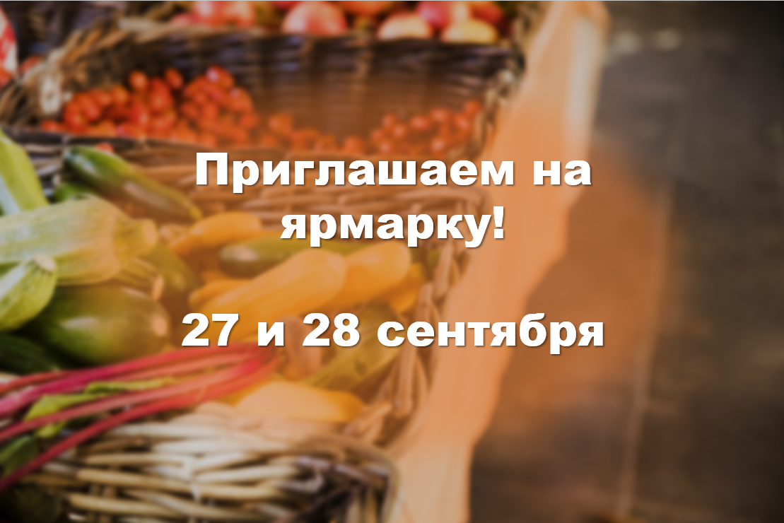 ЯРМАРКА МЕСТНЫХ ТОВАРОПРОИЗВОДИТЕЛЕЙ