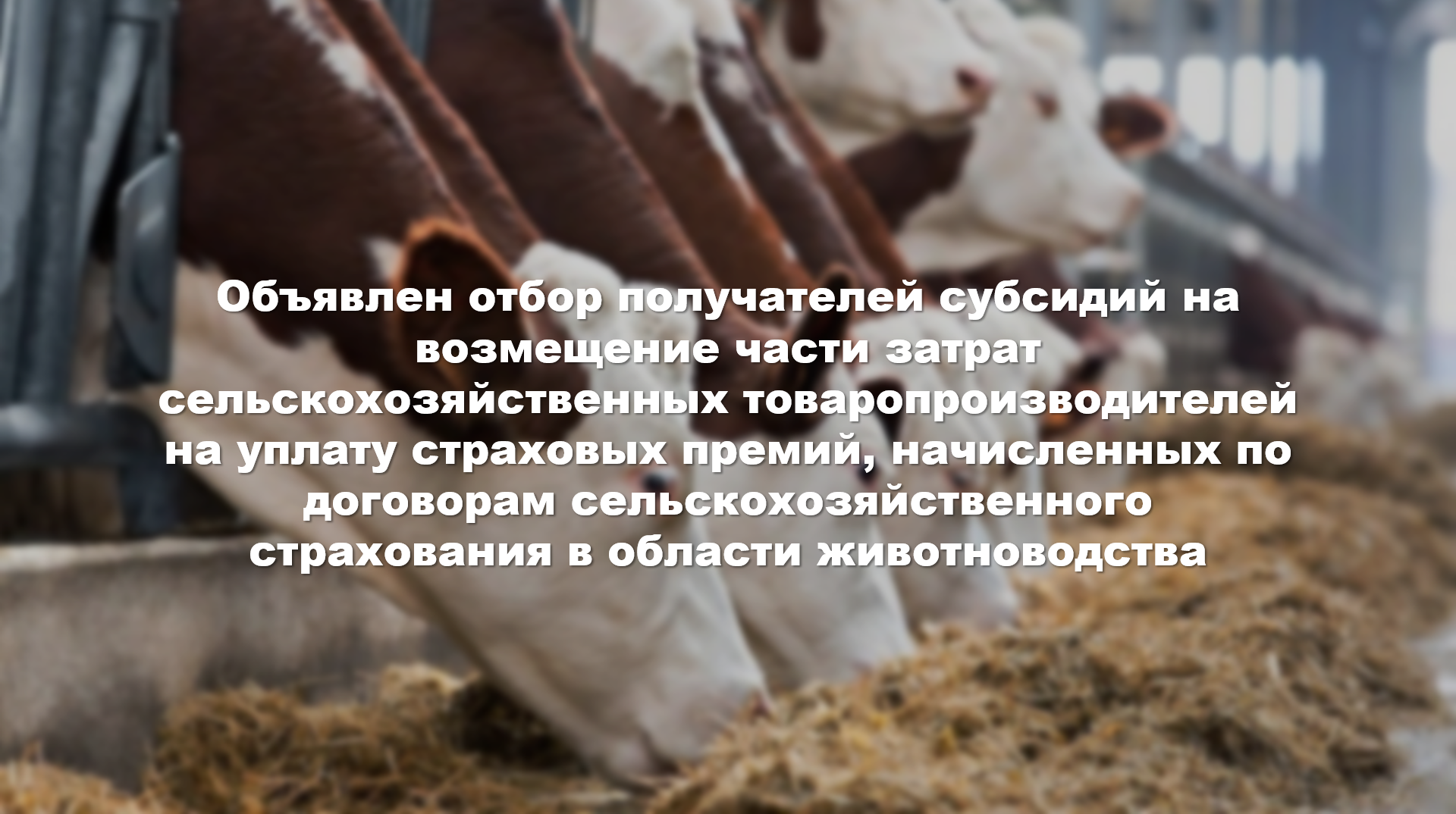 ОТБОР ПОЛУЧАТЕЛЕЙ СУБСИДИЙ НА ВОЗМЕЩЕНИЕ ЧАСТИ ЗАТРАТ СЕЛЬСКОХОЗЯЙСТВЕННЫХ ТОВАРОПРОИЗВОДИТЕЛЕЙ НА УПЛАТУ СТРАХОВЫХ ПРЕМИЙ, НАЧИСЛЕННЫХ ПО ДОГОВОРАМ СЕЛЬСКОХОЗЯЙСТВЕННОГО СТРАХОВАНИЯ В ОБЛАСТИ ЖИВОТНОВОДСТВА
