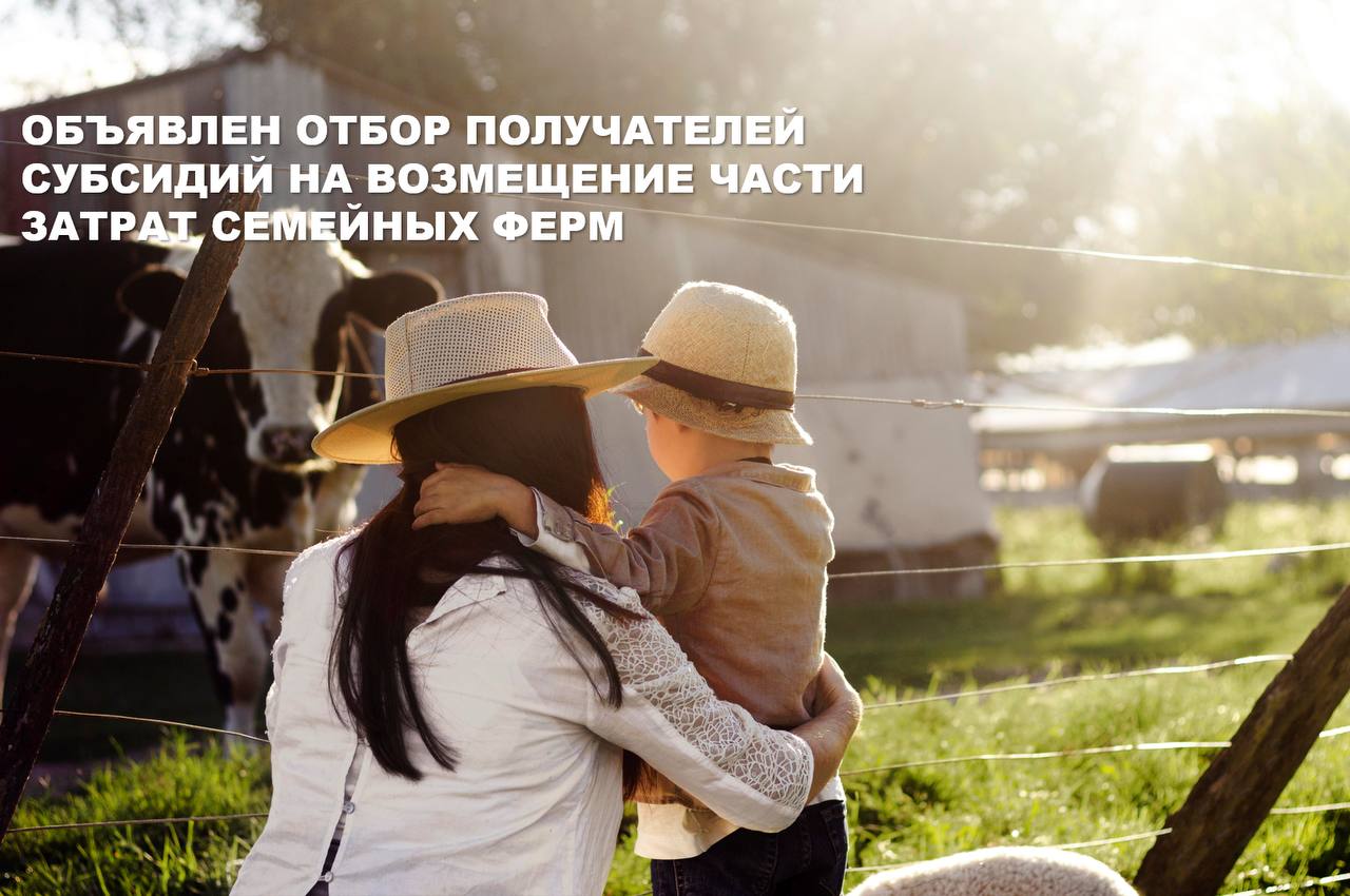 ОТБОР ПОЛУЧАТЕЛЕЙ СУБСИДИЙ НА ВОЗМЕЩЕНИЕ ЧАСТИ ЗАТРАТ СЕМЕЙНЫХ ФЕРМ