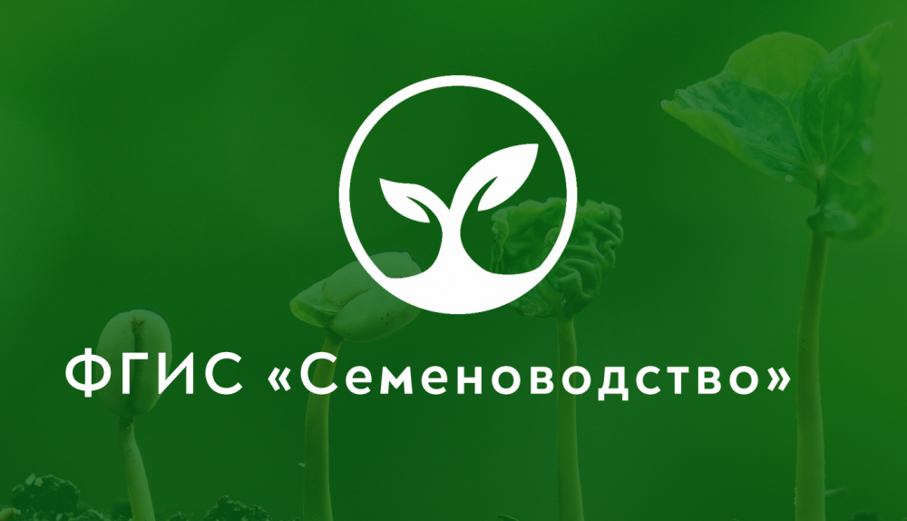 РАЗРАБОТАНА ЕДИНАЯ ИНСТРУКЦИЯ ПО РАБОТЕ В ГОСУДАРСТВЕННЫХ ИНФОРМАЦИОННЫХ СИСТЕМАХ