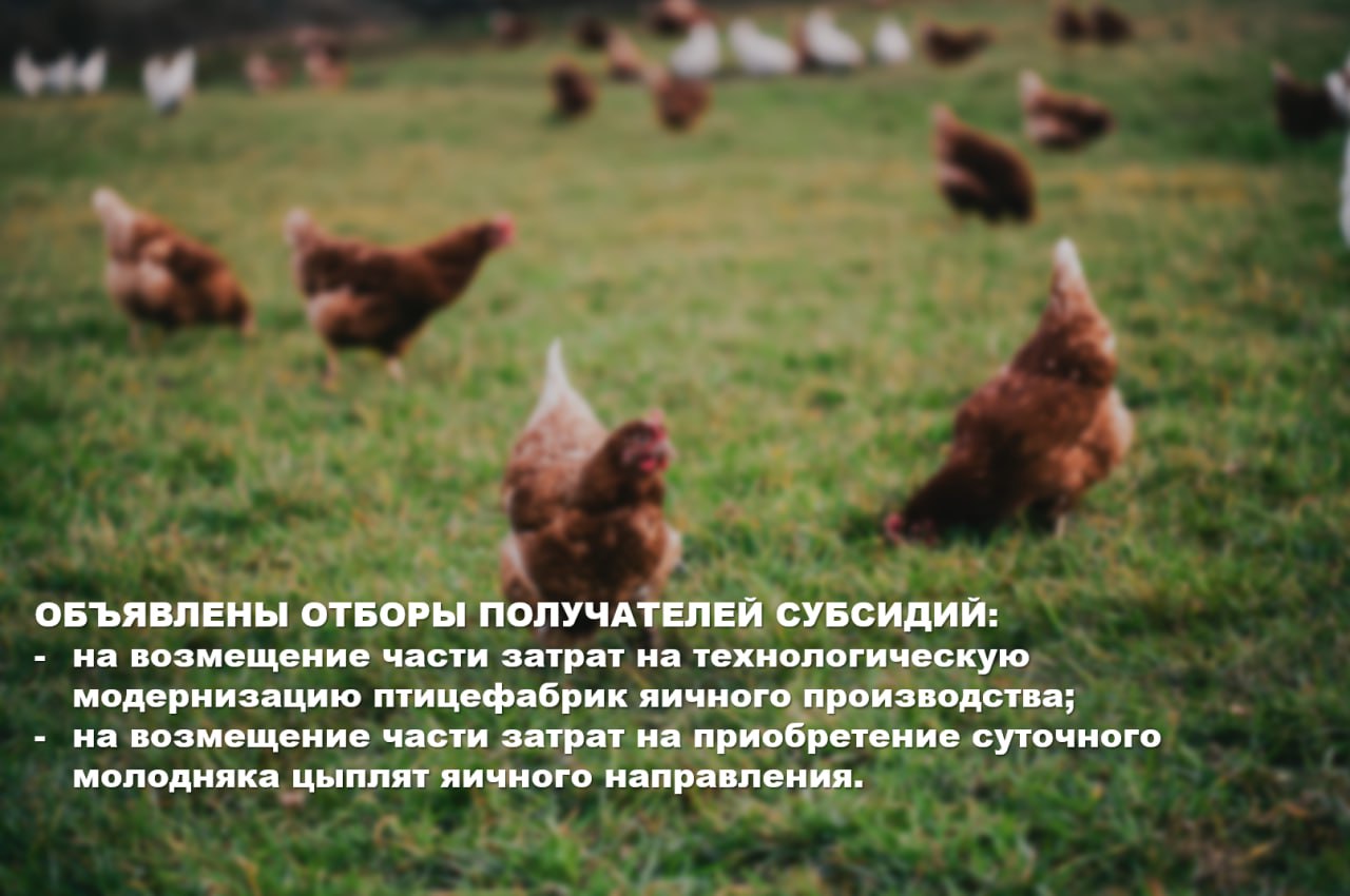 ОБЪЯВЛЕН ОТБОРЫ ПОЛУЧАТЕЛЕЙ СУБСИДИЙ